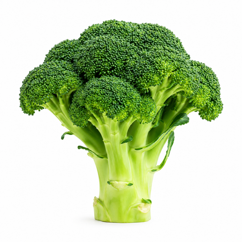 Broccoli