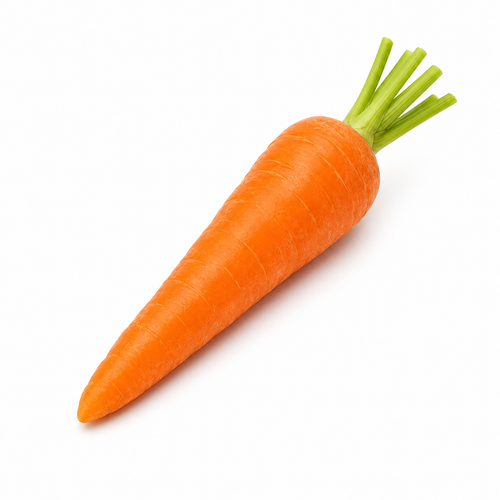 Carrot