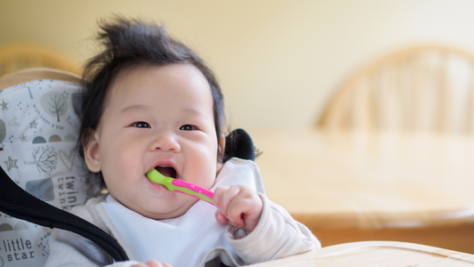 How to Introduce Solids to Your Baby in Singapore: A Step-by-Step Guide