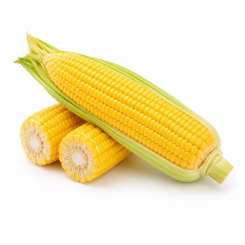 Corn