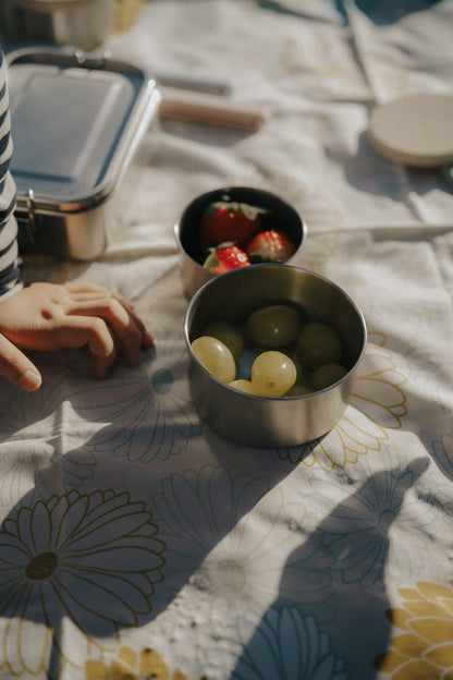 Stainless Steel Food Storage Containers (Trio)