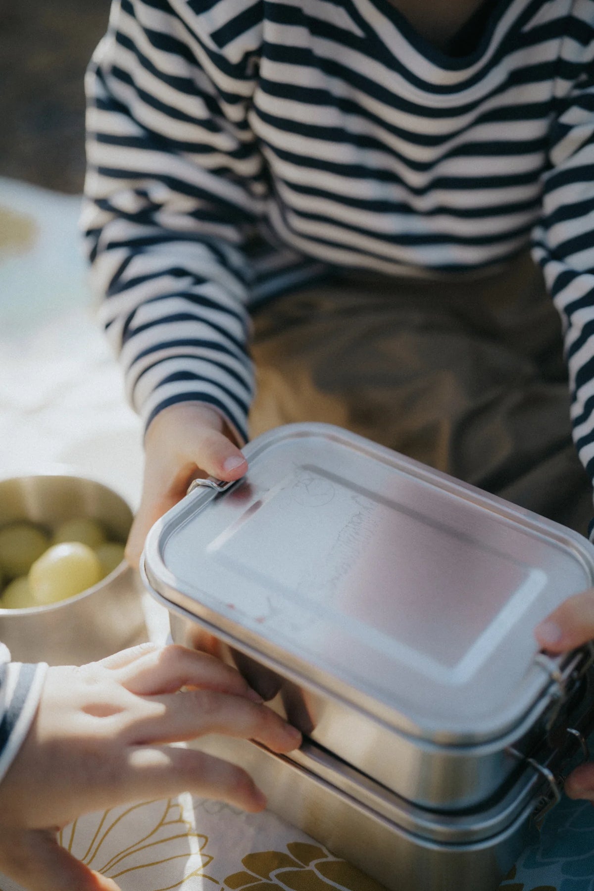 Stainless Steel Lunch Box