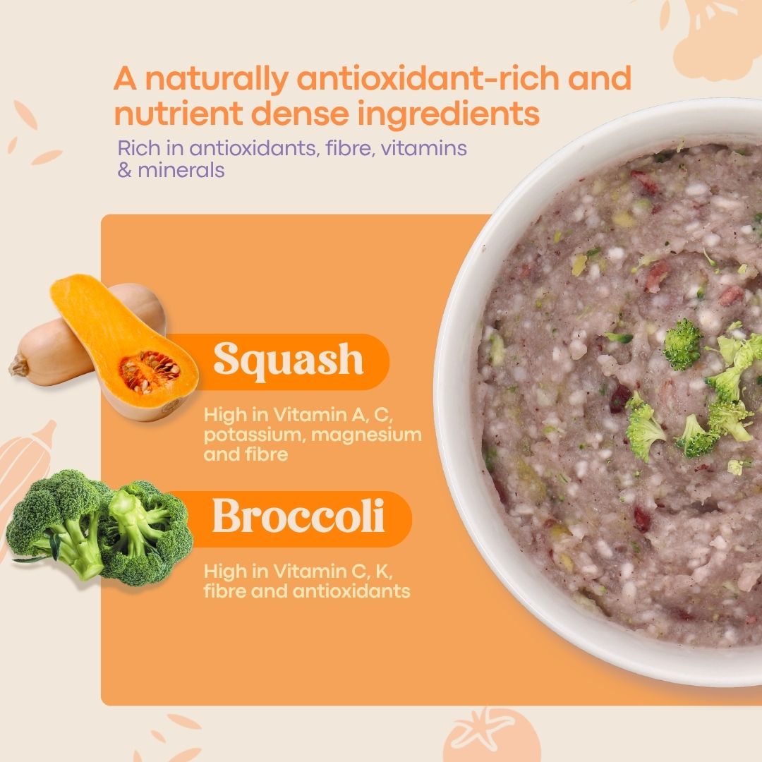 Berry Quick Porridge (2 Packs/Box)